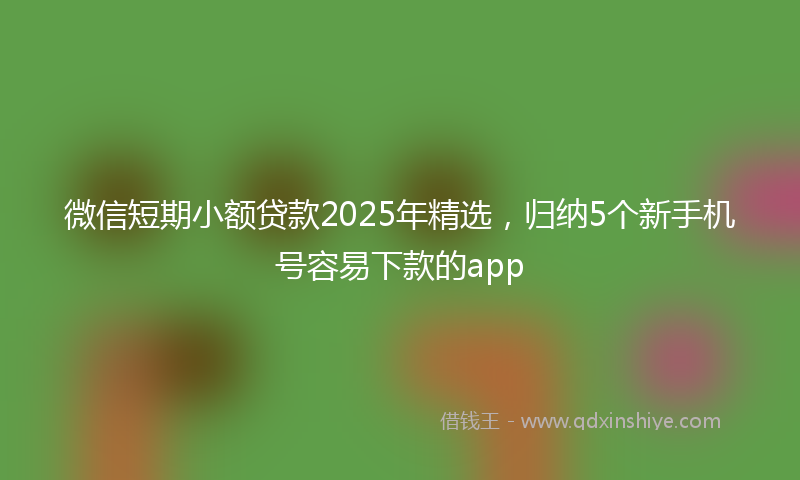 微信短期小额贷款2025年精选，归纳5个新手机号容易下款的app