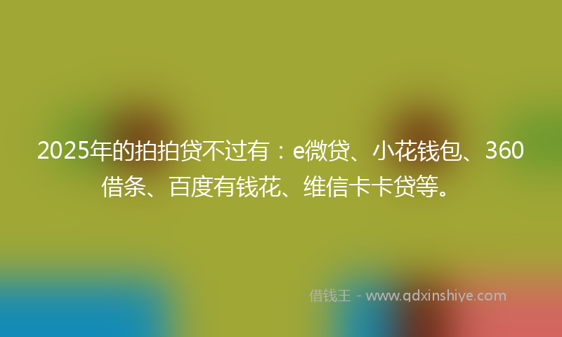 2025年的拍拍贷不过有：e微贷、小花钱包、360借条、百度有钱花、维信卡卡贷等。