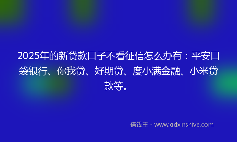 2025年的新贷款口子不看征信怎么办有：平安口袋银行、你我贷、好期贷、度小满金融、小米贷款等。