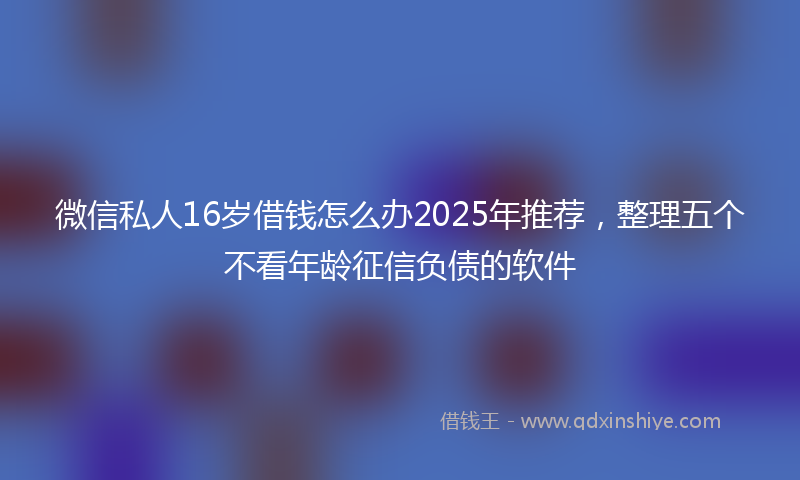 微信私人16岁借钱怎么办2025年推荐，整理五个不看年龄征信负债的软件