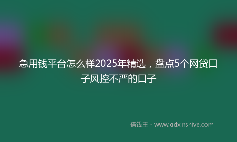 急用钱平台怎么样2025年精选，盘点5个网贷口子风控不严的口子