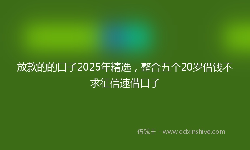 放款的的口子2025年精选，整合五个20岁借钱不求征信速借口子