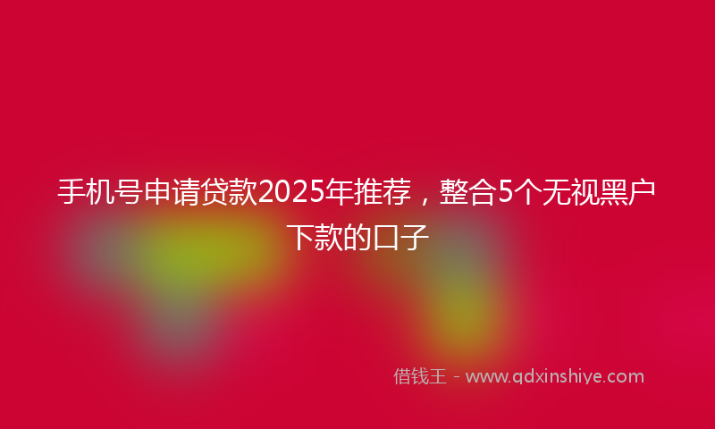 手机号申请贷款2025年推荐，整合5个无视黑户下款的口子