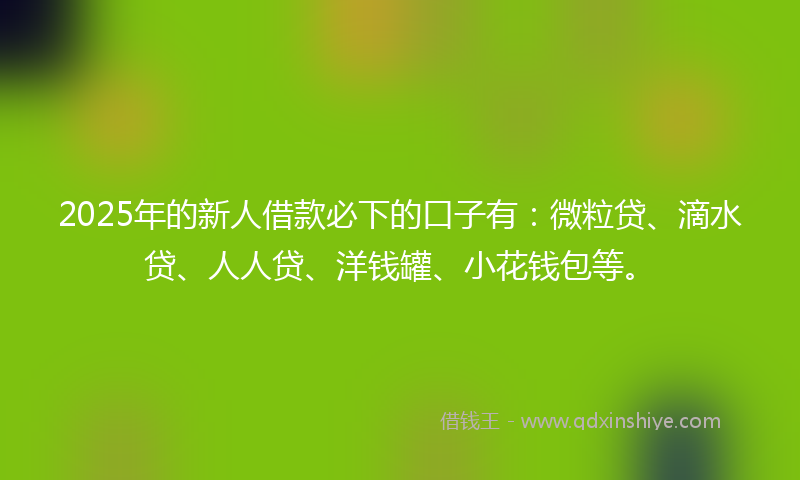 2025年的新人借款必下的口子有：微粒贷、滴水贷、人人贷、洋钱罐、小花钱包等。