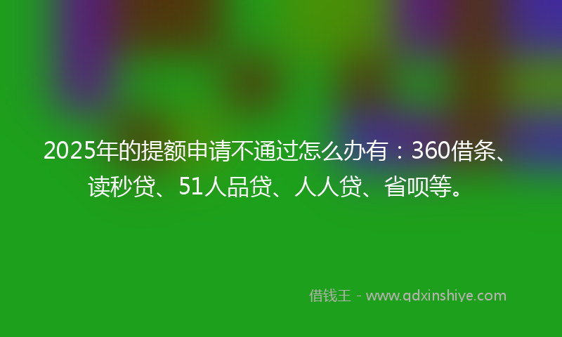 2025年的提额申请不通过怎么办有：360借条、读秒贷、51人品贷、人人贷、省呗等。