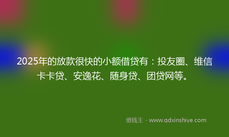 2025年的放款很快的小额借贷有：投友圈、维信卡卡贷、安逸花、随身贷、团贷网等。