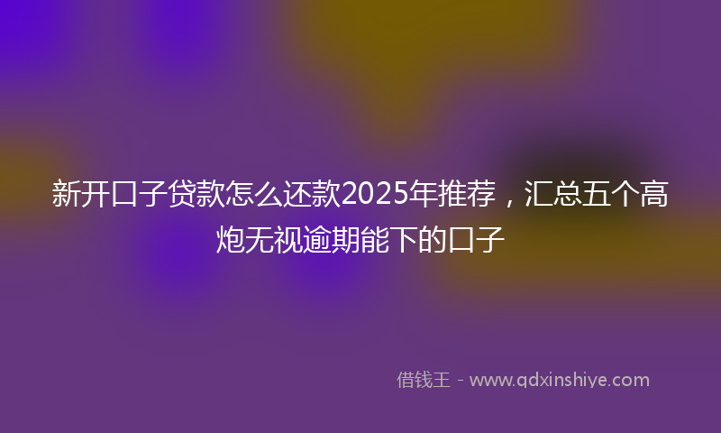 新开口子贷款怎么还款2025年推荐，汇总五个高炮无视逾期能下的口子