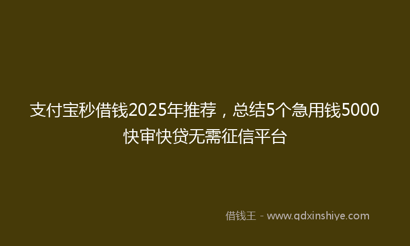 支付宝秒借钱2025年推荐，总结5个急用钱5000快审快贷无需征信平台
