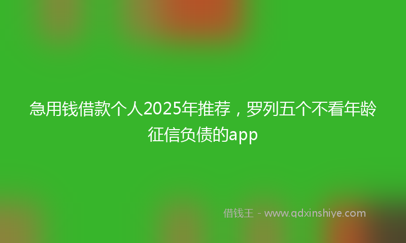 急用钱借款个人2025年推荐，罗列五个不看年龄征信负债的app