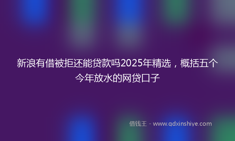 新浪有借被拒还能贷款吗2025年精选，概括五个今年放水的网贷口子