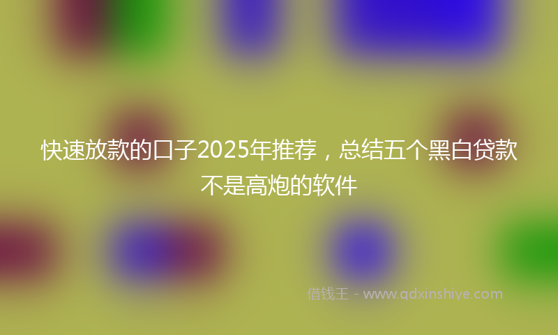 快速放款的口子2025年推荐，总结五个黑白贷款不是高炮的软件