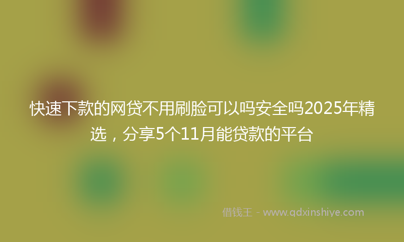 快速下款的网贷不用刷脸可以吗安全吗2025年精选，分享5个11月能贷款的平台