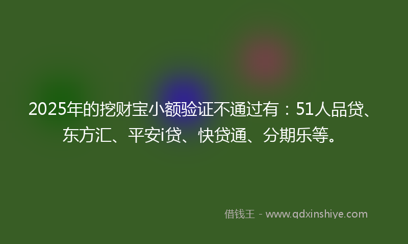 2025年的挖财宝小额验证不通过有：51人品贷、东方汇、平安i贷、快贷通、分期乐等。