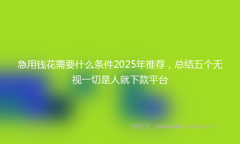 急用钱花需要什么条件2025年推荐，总结五个无视一切是人就下款平台