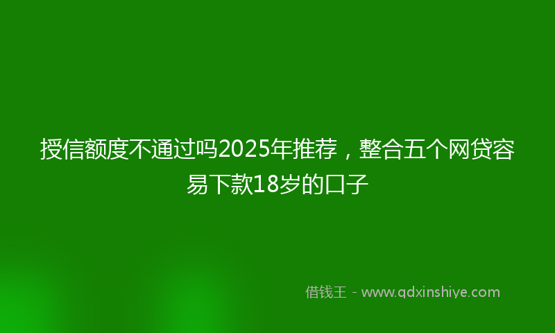 授信额度不通过吗2025年推荐，整合五个网贷容易下款18岁的口子