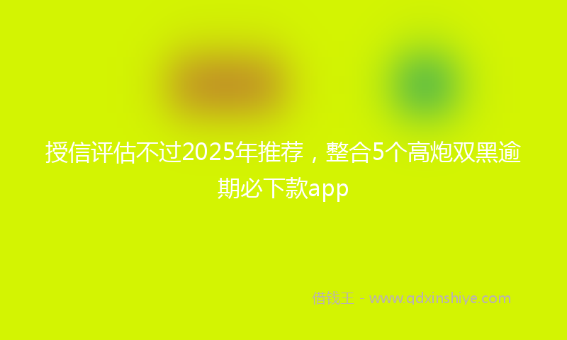 授信评估不过2025年推荐，整合5个高炮双黑逾期必下款app