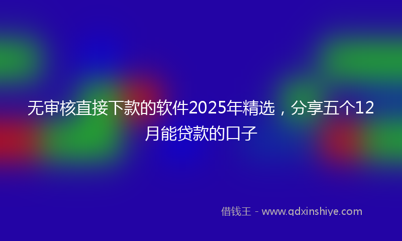 无审核直接下款的软件2025年精选，分享五个12月能贷款的口子