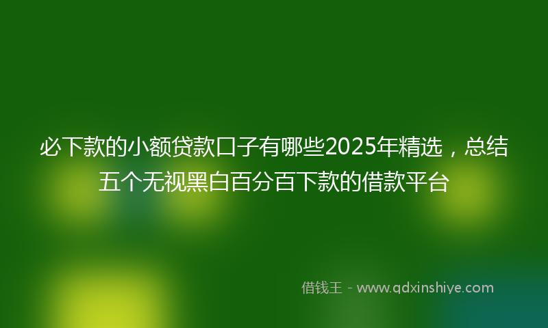 必下款的小额贷款口子有哪些2025年精选，总结五个无视黑白百分百下款的借款平台