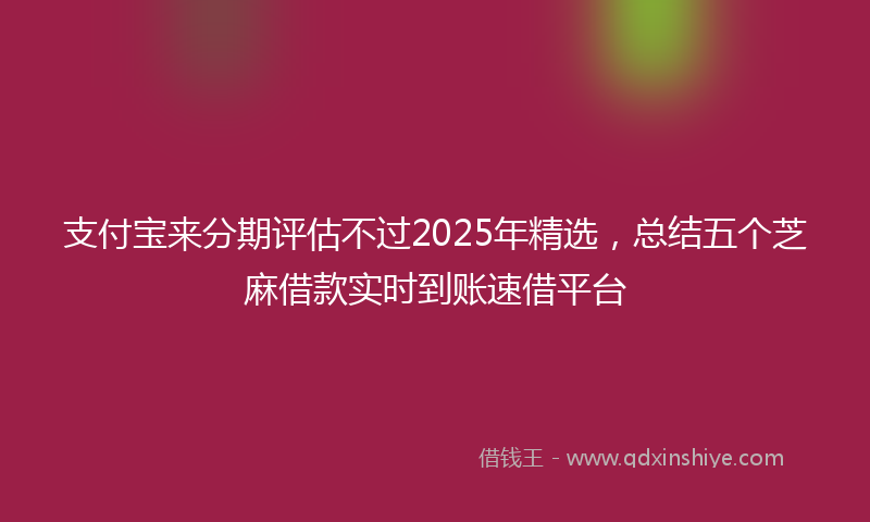 支付宝来分期评估不过2025年精选，总结五个芝麻借款实时到账速借平台