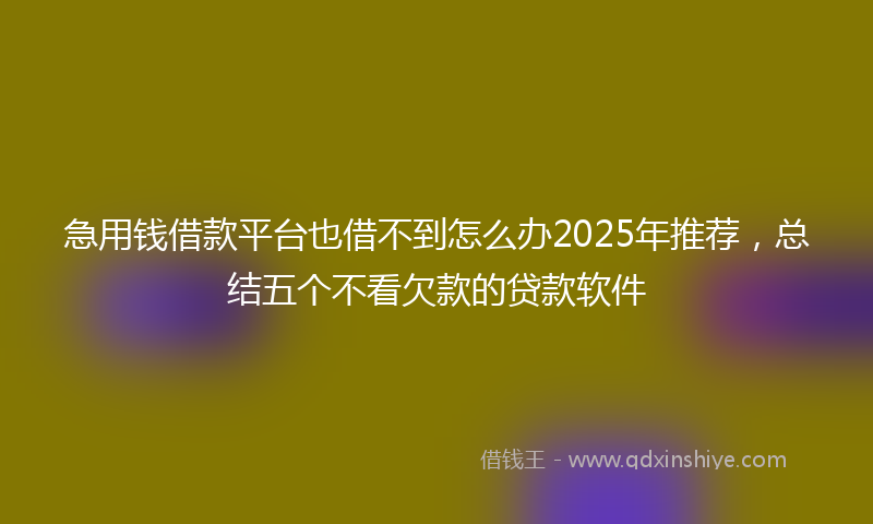 急用钱借款平台也借不到怎么办2025年推荐，总结五个不看欠款的贷款软件