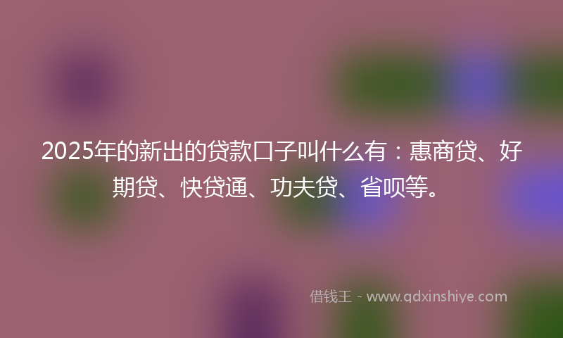 2025年的新出的贷款口子叫什么有：惠商贷、好期贷、快贷通、功夫贷、省呗等。
