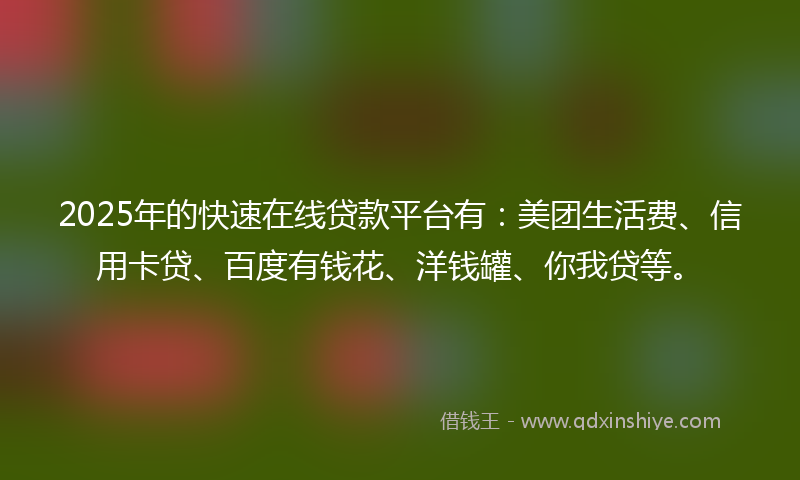 2025年的快速在线贷款平台有：美团生活费、信用卡贷、百度有钱花、洋钱罐、你我贷等。