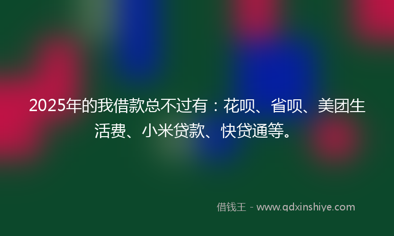 2025年的我借款总不过有：花呗、省呗、美团生活费、小米贷款、快贷通等。