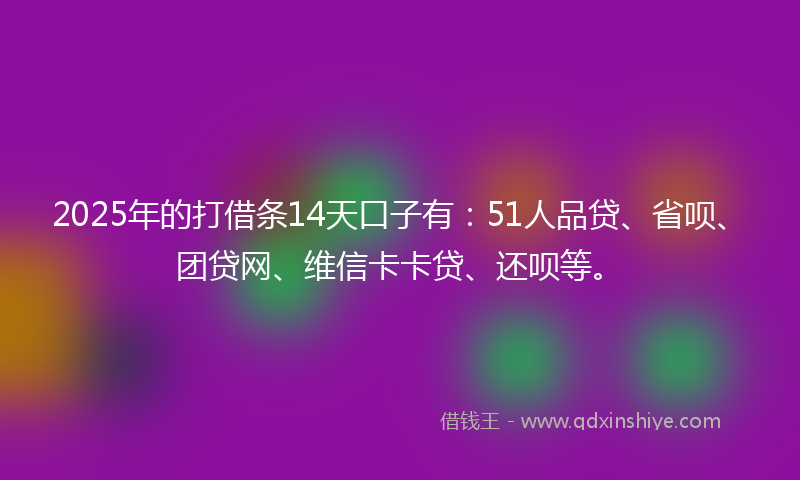 2025年的打借条14天口子有：51人品贷、省呗、团贷网、维信卡卡贷、还呗等。