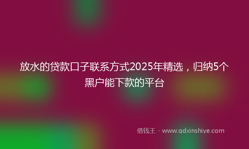 放水的贷款口子联系方式2025年精选，归纳5个黑户能下款的平台