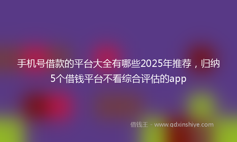 手机号借款的平台大全有哪些2025年推荐，归纳5个借钱平台不看综合评估的app
