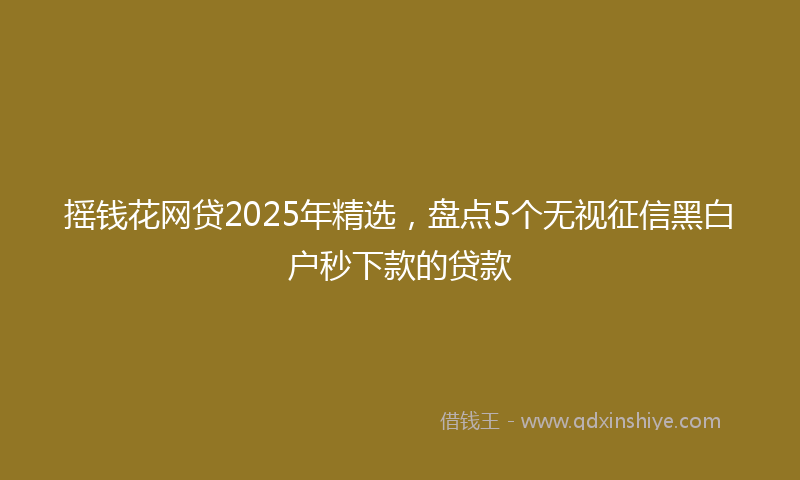 摇钱花网贷2025年精选，盘点5个无视征信黑白户秒下款的贷款