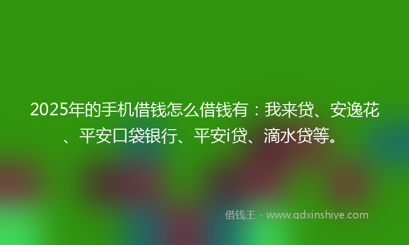 2025年的手机借钱怎么借钱有：我来贷、安逸花、平安口袋银行、平安i贷、滴水贷等。