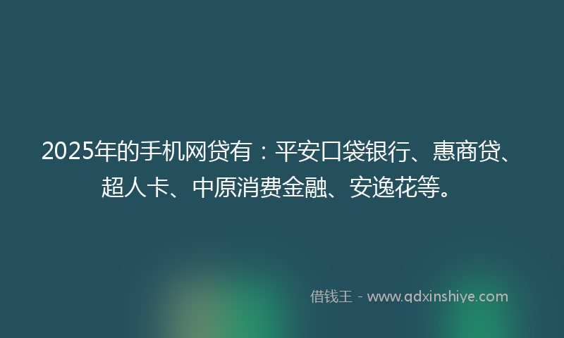 2025年的手机网贷有：平安口袋银行、惠商贷、超人卡、中原消费金融、安逸花等。