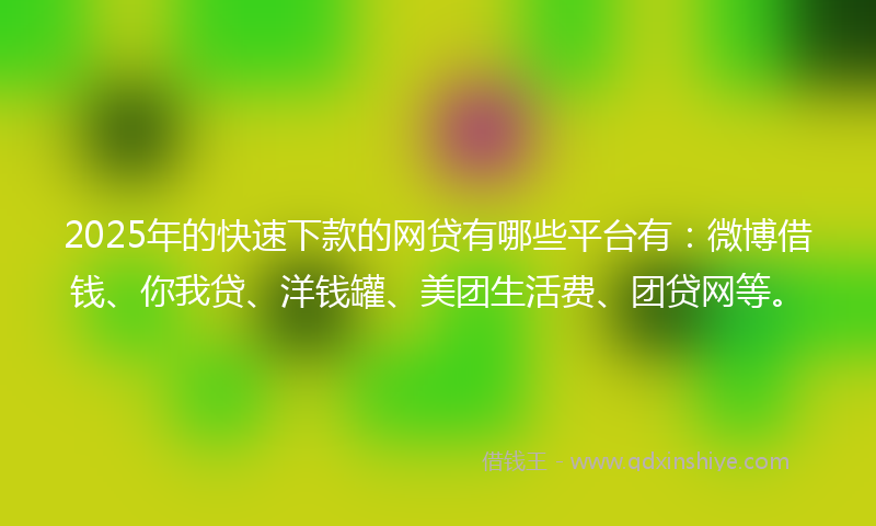 2025年的快速下款的网贷有哪些平台有：微博借钱、你我贷、洋钱罐、美团生活费、团贷网等。