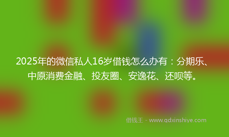 2025年的微信私人16岁借钱怎么办有：分期乐、中原消费金融、投友圈、安逸花、还呗等。