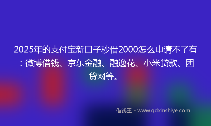 2025年的支付宝新口子秒借2000怎么申请不了有：微博借钱、京东金融、融逸花、小米贷款、团贷网等。
