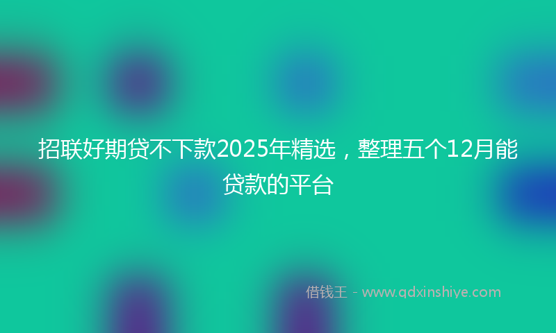 招联好期贷不下款2025年精选，整理五个12月能贷款的平台