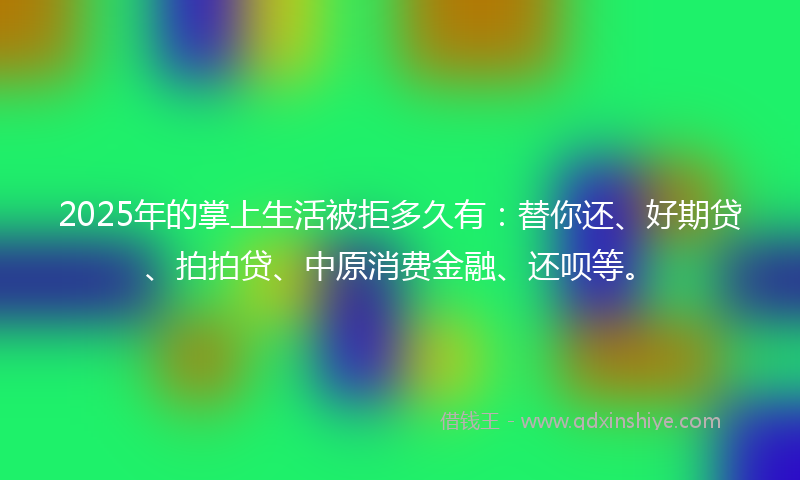 2025年的掌上生活被拒多久有：替你还、好期贷、拍拍贷、中原消费金融、还呗等。