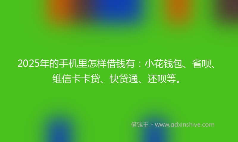 2025年的手机里怎样借钱有：小花钱包、省呗、维信卡卡贷、快贷通、还呗等。