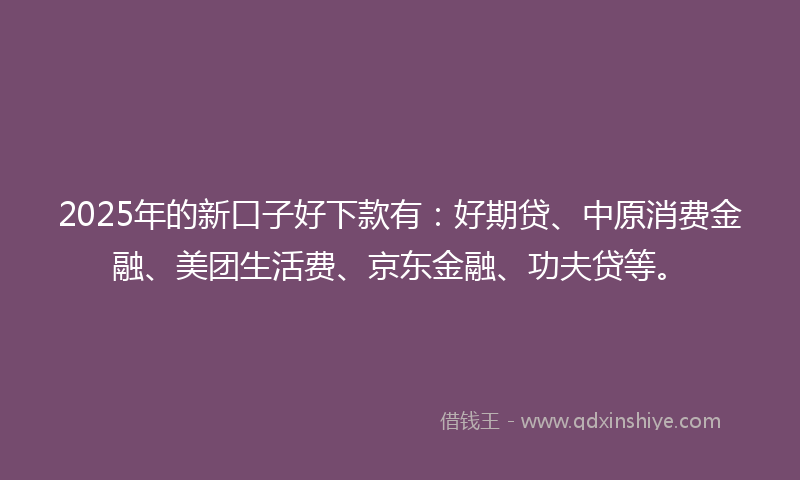2025年的新口子好下款有：好期贷、中原消费金融、美团生活费、京东金融、功夫贷等。