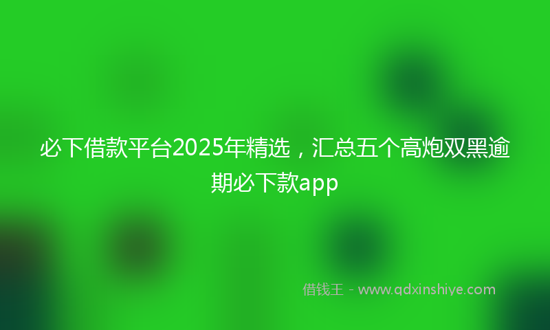 必下借款平台2025年精选，汇总五个高炮双黑逾期必下款app