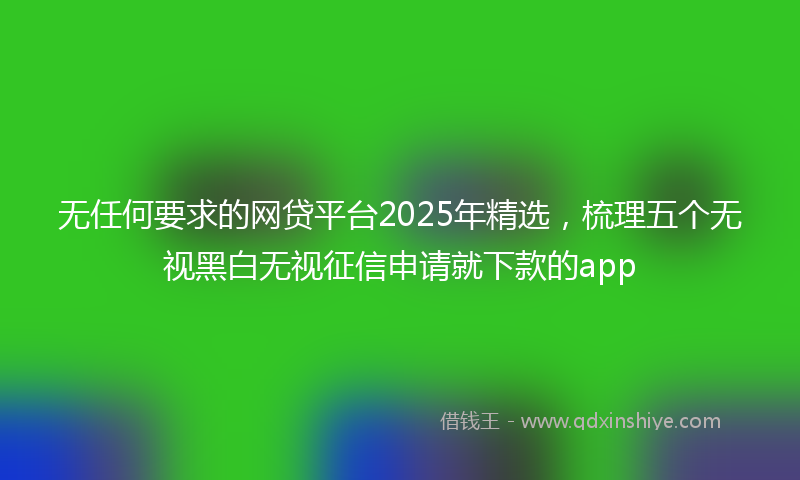 无任何要求的网贷平台2025年精选，梳理五个无视黑白无视征信申请就下款的app