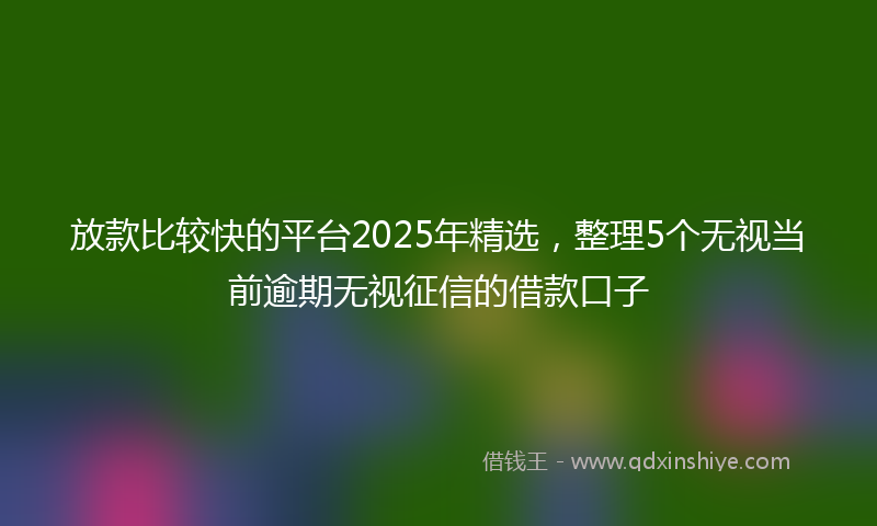 放款比较快的平台2025年精选，整理5个无视当前逾期无视征信的借款口子