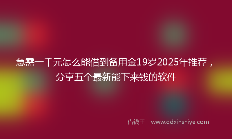 急需一千元怎么能借到备用金19岁2025年推荐，分享五个最新能下来钱的软件