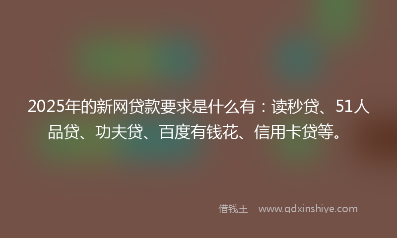 2025年的新网贷款要求是什么有：读秒贷、51人品贷、功夫贷、百度有钱花、信用卡贷等。