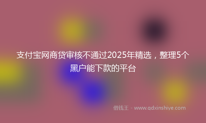 支付宝网商贷审核不通过2025年精选，整理5个黑户能下款的平台
