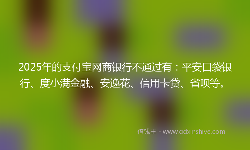 2025年的支付宝网商银行不通过有：平安口袋银行、度小满金融、安逸花、信用卡贷、省呗等。