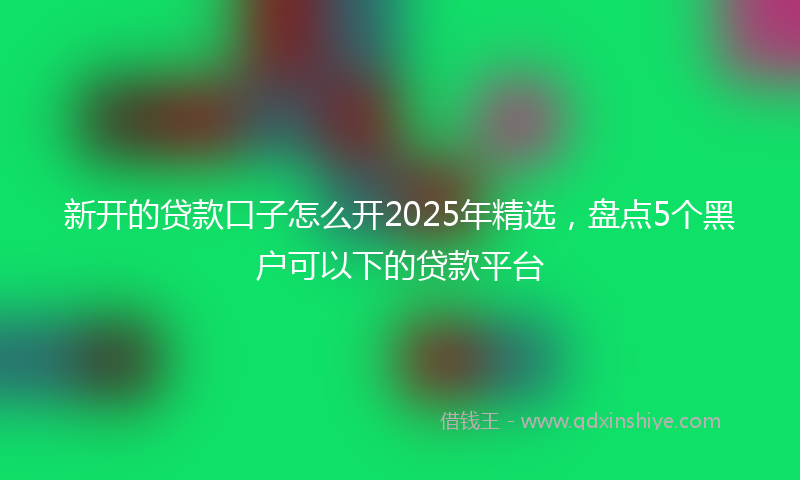新开的贷款口子怎么开2025年精选，盘点5个黑户可以下的贷款平台