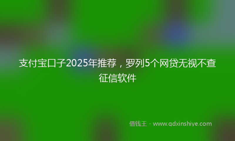支付宝口子2025年推荐，罗列5个网贷无视不查征信软件