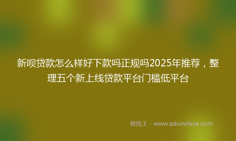 新呗贷款怎么样好下款吗正规吗2025年推荐，整理五个新上线贷款平台门槛低平台